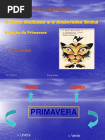 Gato Malhado e Andorinha Sinhá Power Point 2_teste2