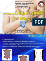 Patologiabenignademamajonathanmolina 130505205436 Phpapp02
