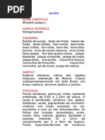 Jalapa - Mirabilis jalapa L. - Ervas Medicinais – Ficha Completa Ilustrada