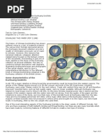 Download Chinese Book Binding by lucasnery SN188425524 doc pdf