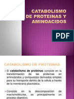 Catabolismo de Proteinas y Aminoacidos