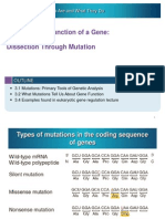 Mutations and Examples