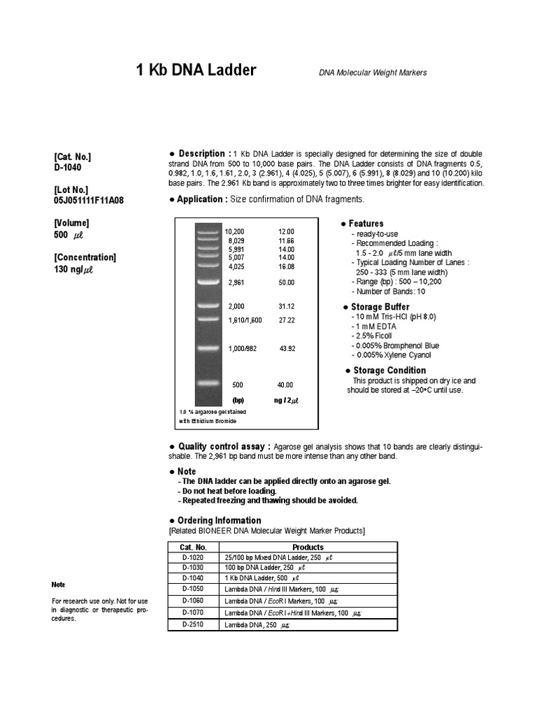 DNA Ladder for Lab Researchers | PDF