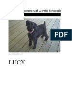 manual of lucy