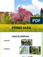 Primavara