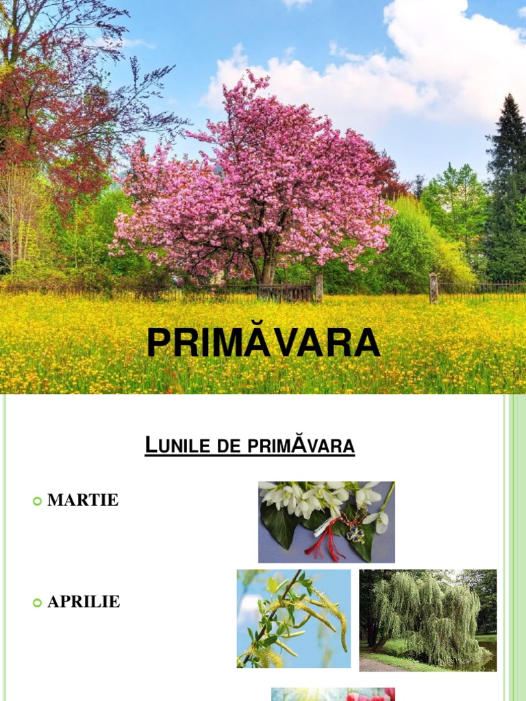 Primavara