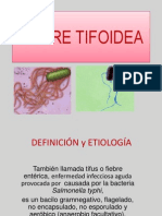 fiebretifoidea-ppt2-101204161959-phpapp01