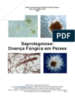 Tudo Sobre Saprolegniose Doenca Fungica em Peixes PDF