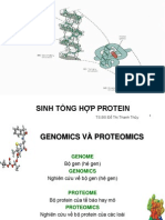 Sinh Tổng Hợp Protein: TS.BS.Đỗ Thị Thanh Thủy