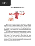 Female Reproductive System: Anatomy and Physiology