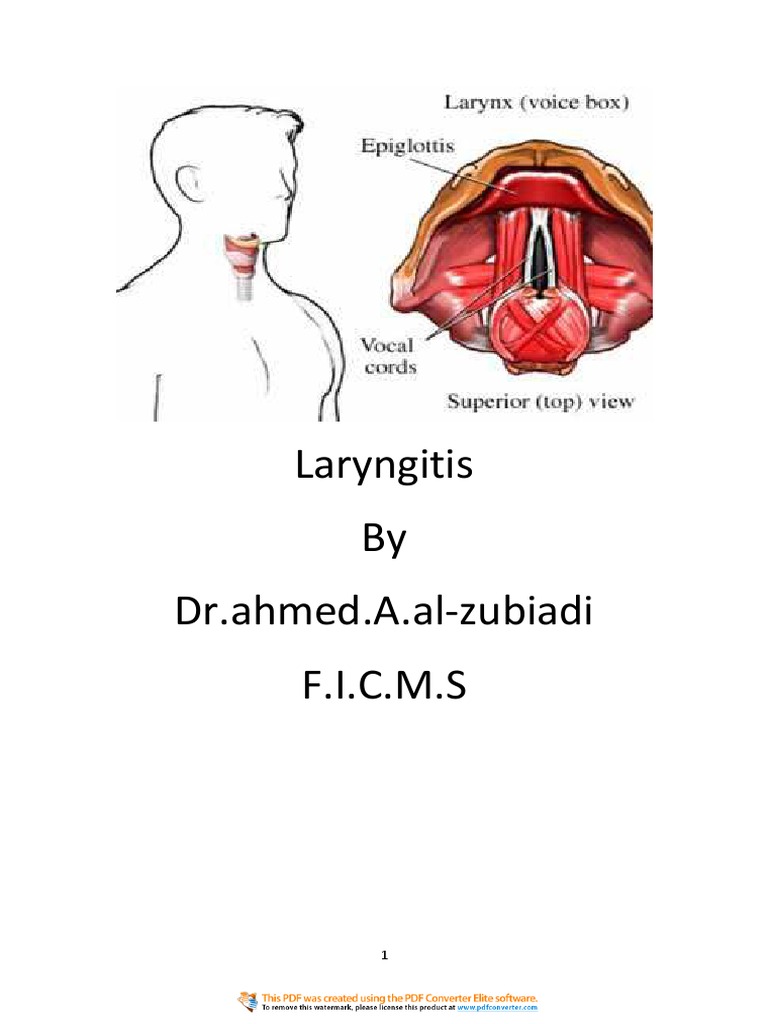 Laryngitis by DR Ahmed.a.alZubiadi F.I.C.M.S PDF Medical
