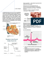 Conduction System of The Heart