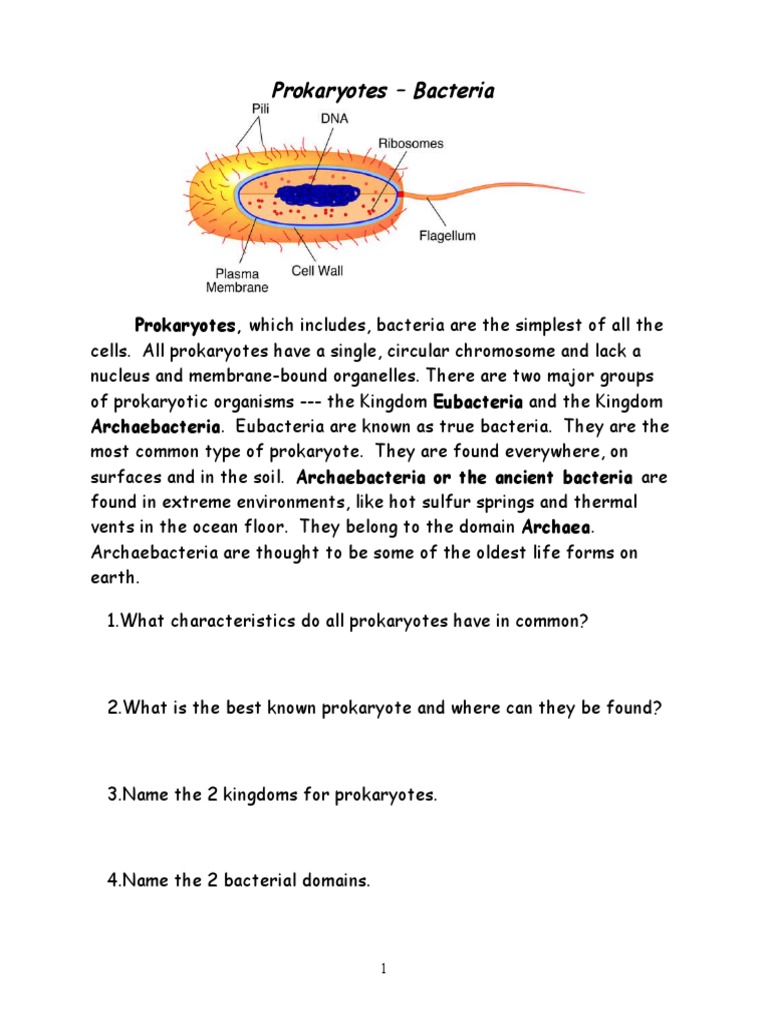 Prokaryote Coloring | Prokaryote | Bacteria