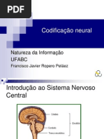 Aula Natureza informação codif neural 22, 24 e 29 de Novembro