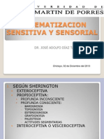 Sistematización Sensitiva y Sensorial