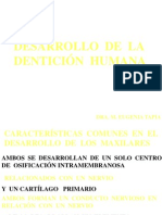 DENTICION