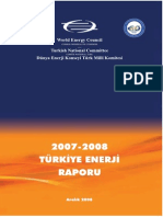 2008_enerji_raporu