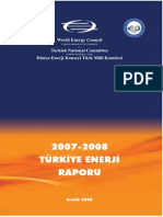 2008 Enerji Raporu