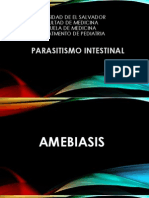 Seminario Parasitosis 1.pptx