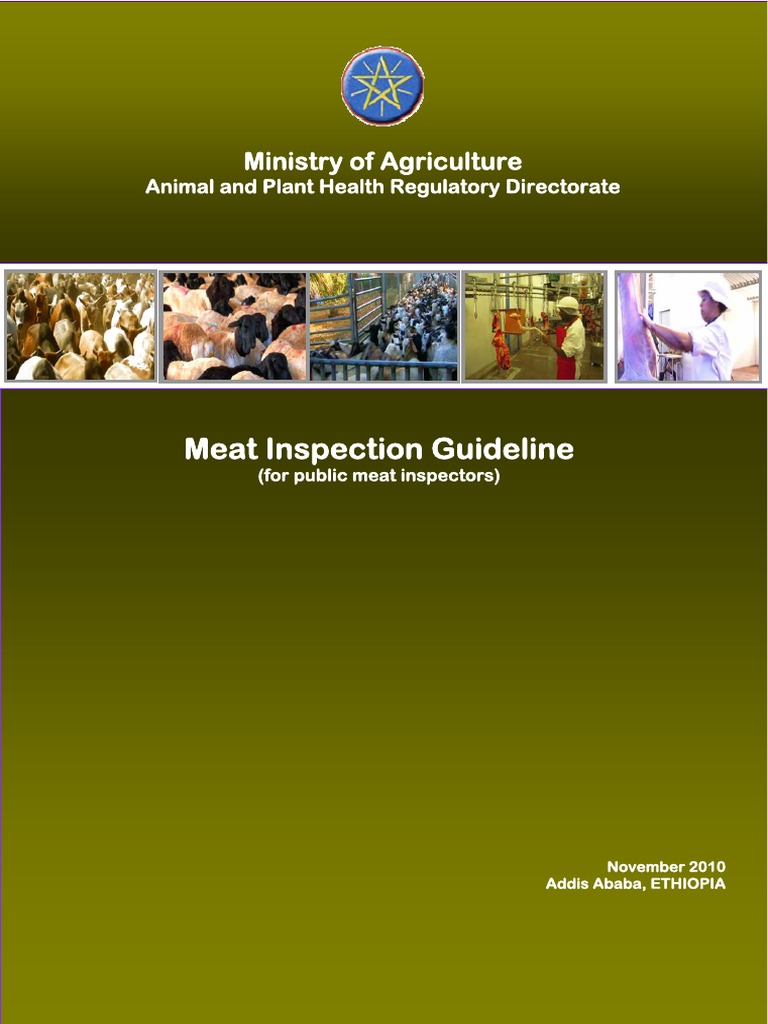 Meat Inspection Guidelines for Ethiopia | PDF | Inflammation | Liver