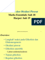Glikolisis Dan Oksidasi Piruvat