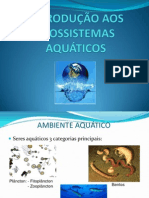 Aula Ecossistemas Aquáticos