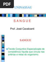 AULA Nº 9 sangue 2013.2