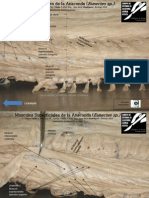 Diseccion Anatomica Poligono de Willys (i) (Hidrochaeris Sp)y Musculos Superficiales de La Anaconda (Eunectes Sp)CMSEJINS-CJSEJINP-JARODRIGUEZP