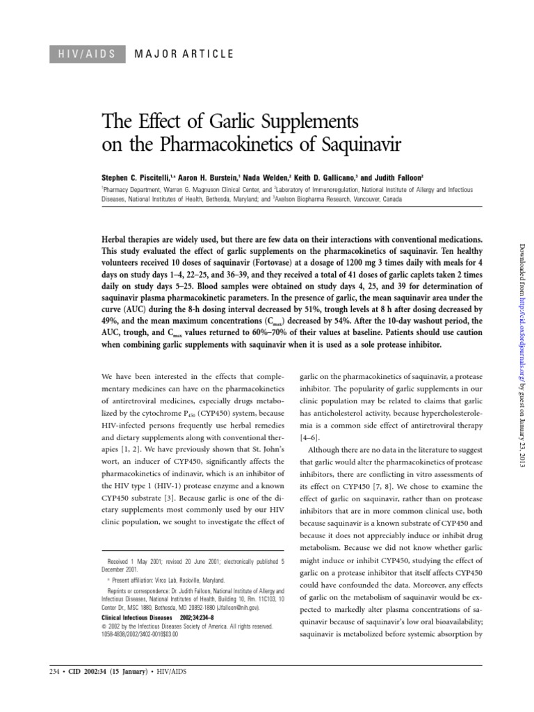 Allium sativum picture