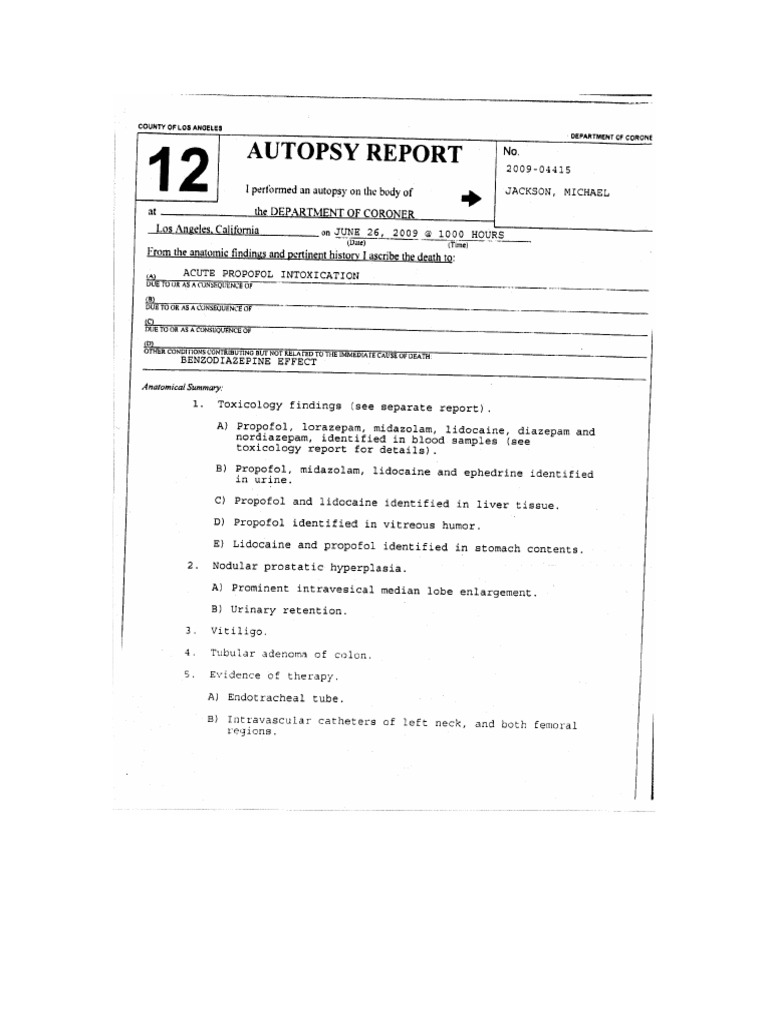 Autopsy Report | PDF