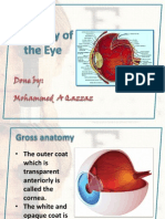 eyeanatomy-130923133056-phpapp02