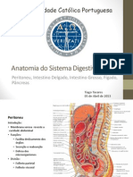 Anatomia II - Sistema Digestivo 3