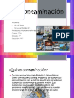 contaminacion amital