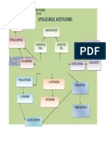 Utilizarile Acetilenei