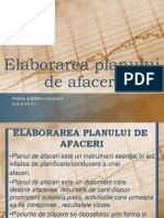 Elaborarea Planului de Afaceri