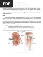 Histologi Sistem Urinaria