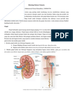 Histologi Sistem Urinaria