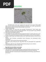 Download JAMUR ASCOMYCOTINA by Erni Angraini Gani SN188731111 doc pdf
