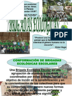 Conformación de Brigadas Ecológicas