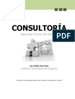 Apuntes_Consultoria_Verano_2013.pdf