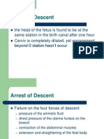 Arrest of Descent