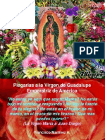 Virgen de Guadalupe, Emperatriz de América