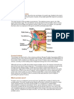 Prostate Cancer Research by Ahmed Roushdy