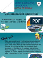 Diapositivas de Contaminacion Ambiental