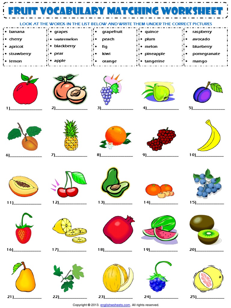 Food Fruit Vocabulary Matching Exercise Worksheet