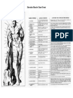 Hercules Muscle Chart Front