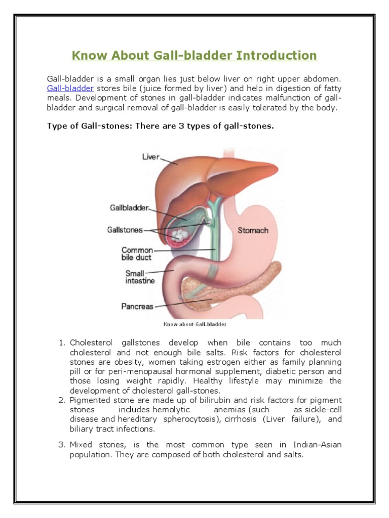 Know About Gall Bladder Introduction | Gallbladder | Pancreas