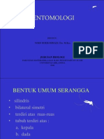 II P Bentuk Serangga I