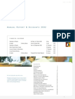Anglo Annual Report 2002