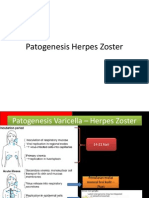 Patognesis HZ